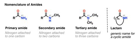 Amide Examples