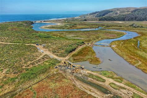 Habitat for Salmon in California | Westernbass.com