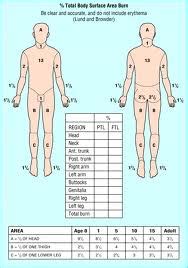 Major burns, Severe Burn, Burn Injury, Burn Wound - Cancer Therapy Advisor