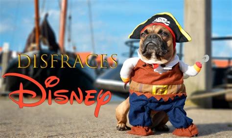 15 disfraces para perros ¡de Disney! | Hogarmania