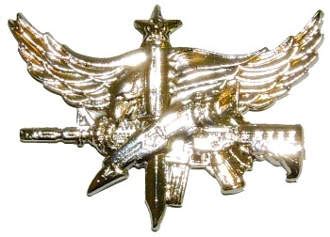 SWAT Operator Insignia Pin - Center Mass - Senior - Polished Gold - 20% Off