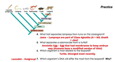 Cladogram Gizmo Quiz Answers kammahen