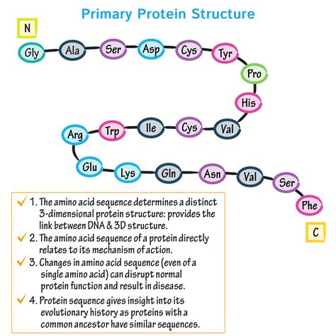 Fajarv: Protein Structure Amino Acids