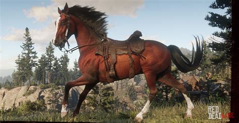 Arabian Horse | RDR2 Horse Breeds Coats, Locations & Stats