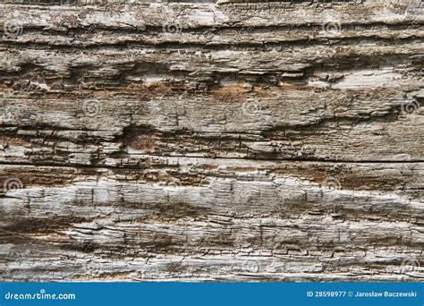 Rotted wood stock image. Image of textured, plank, weathered - 28598977