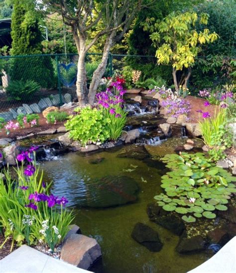 18 Lovely Ponds And Water Gardens For Your Backyard