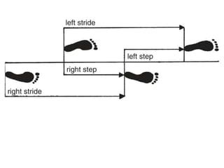 Hemiplegic gait | PPT