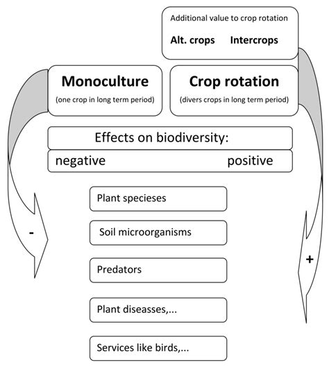 Comparison of negative effects of monoculture and positive effects of ...