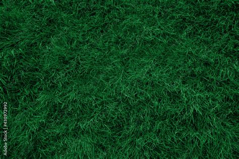 Dark green grass texture and background Stock Photo | Adobe Stock