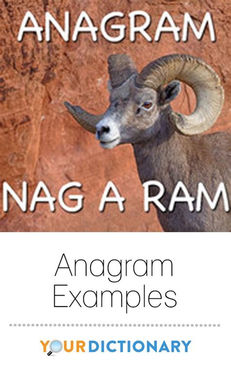 Anagram Examples and Their Functions | New words, New things to learn ...