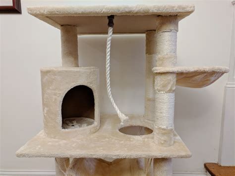 The 8 Best Cat Scratching Posts of 2019