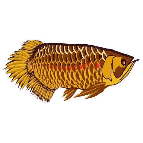 Gambar Ilustrasi Ikan Arwana Kuning Keemasan Vektor, Gambar, Ikan ...