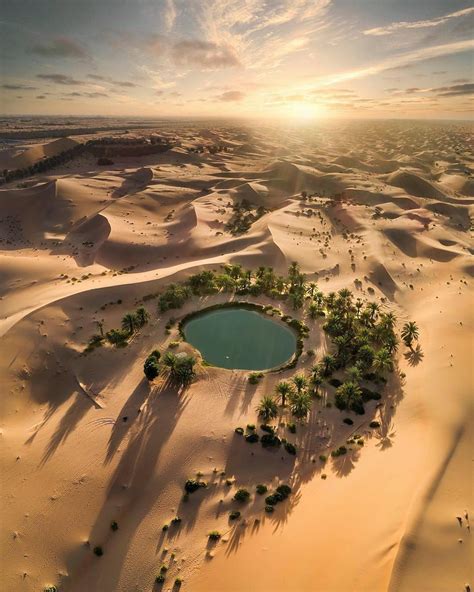 🔥 Beautiful desert oasis : r/NatureIsFuckingLit