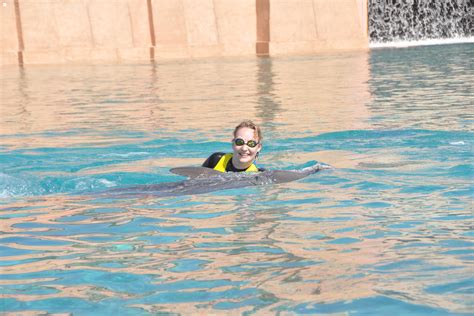 Atlantis Dubai - swimming with dolphins | Dubai travel, Pool float, Outdoor