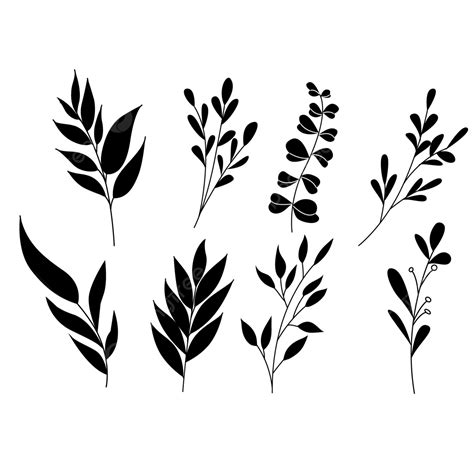 Floral Leaf Silhouette PNG Transparent, Simple Leaf Silhouette Floral ...