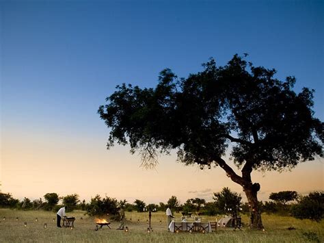 Ngala Safari Lodge | Kruger National Park Luxury Lodges