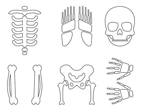 Cut Out Printable Skeleton Bones Template