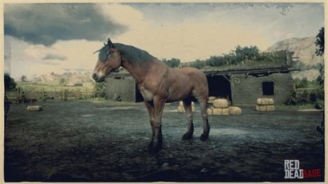 Wild Bay Mustang | RDR2 & Online Horse Stats & Locations