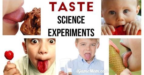 Science Experiments for Kids to Learn About Taste