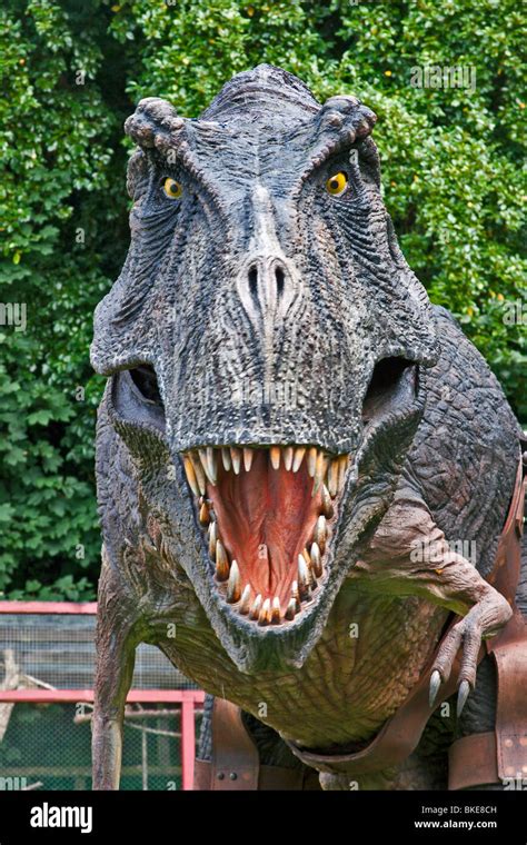 T Rex Tyrannosaurus Rex dinosaur Stock Photo - Alamy