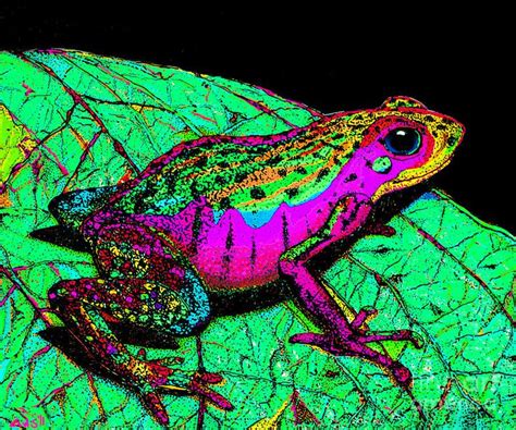 Rainbow Frog 3 by Nick Gustafson | Frog, Frog art, Reptiles