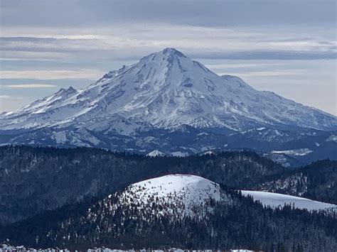 East of Mt. Shasta - Northeast Crest | Mount Shasta Avalanche Center