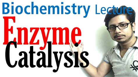 Enzyme catalysis mechanism biochemistry - YouTube