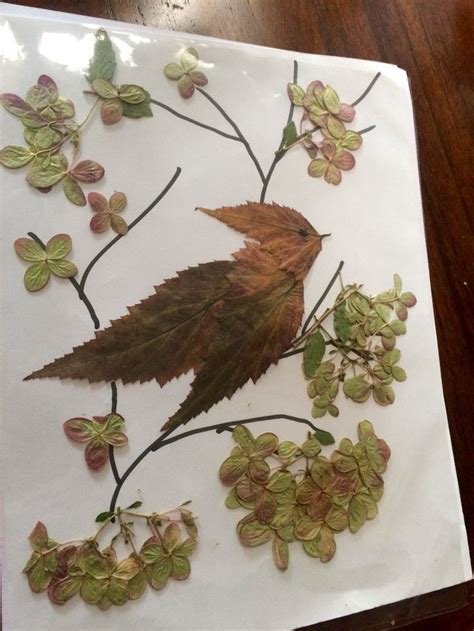 Dried leaf and flower bird art | Dry leaf art, Pressed flower crafts ...