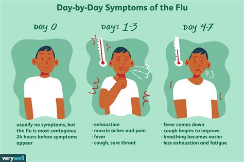 stages of the flu