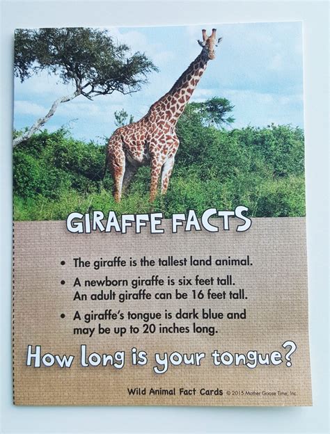 Learning About Giraffes » Share & Remember