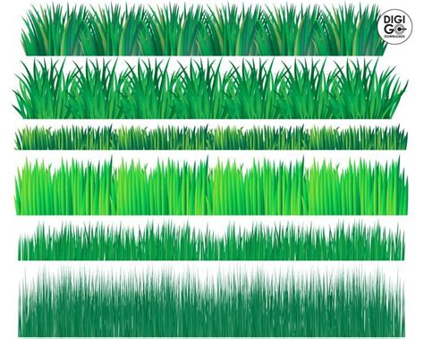 Grass Clipart and Borders for Stunning Designs