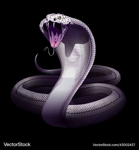 Details more than 73 white snake wallpaper latest - in.coedo.com.vn