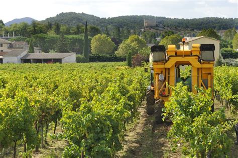 Harvesting Grapes stock photo. Image of machinery, winery - 27297566