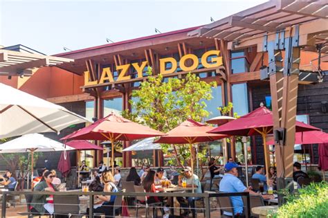 Lazy Dog Restaurant - Visit Oxnard