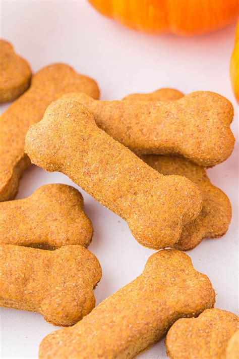 Pumpkin Dog Treats Recipe - Princess Pinky Girl