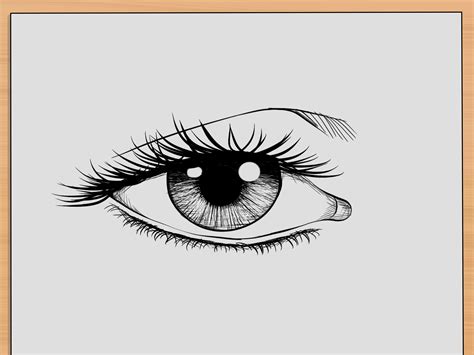 How to Draw Realistic Human Eyes: 7 Steps (with Pictures)