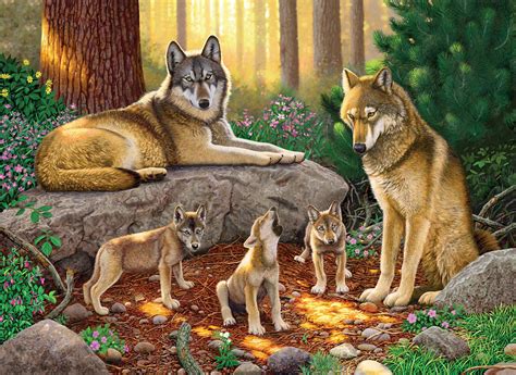 A Family Of Wolves Photograph by MGL Meiklejohn Graphics Licensing - Pixels