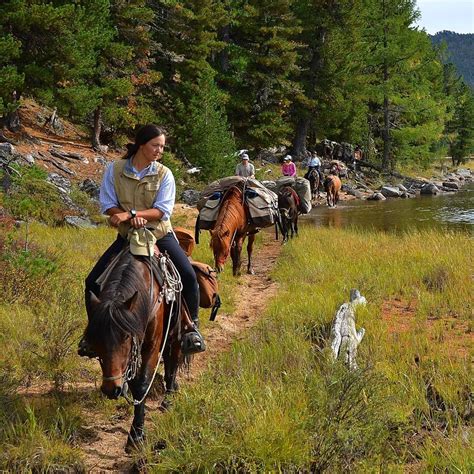 Wilderness horse trek in Mongolia's Khentii Mountains. www ...