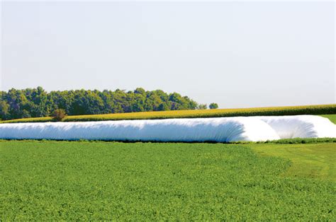 Benefits of bagging silage - Progressive Forage | Ag Proud