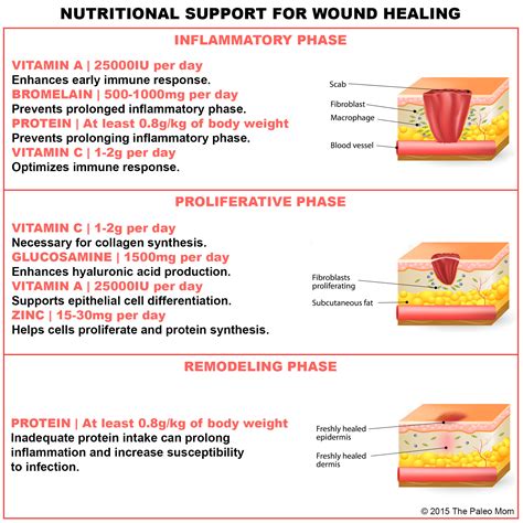 dietary protein intake promotes wound healing