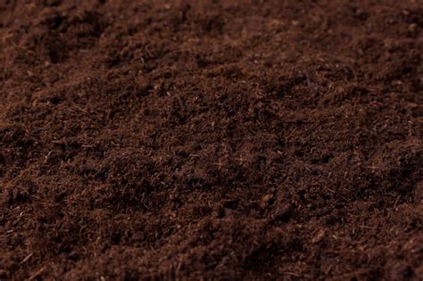 Premium Photo | Peat soil for planting seedlings of flowers ovary ...