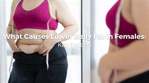 What causes lower belly fat in females? LA, CA | HLB