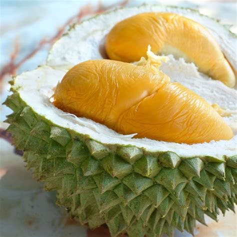 Durian Fruit Kaufen - Tere Fruit