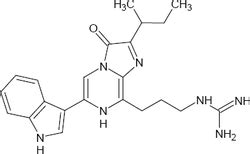 Luciferins - Bioluminescence