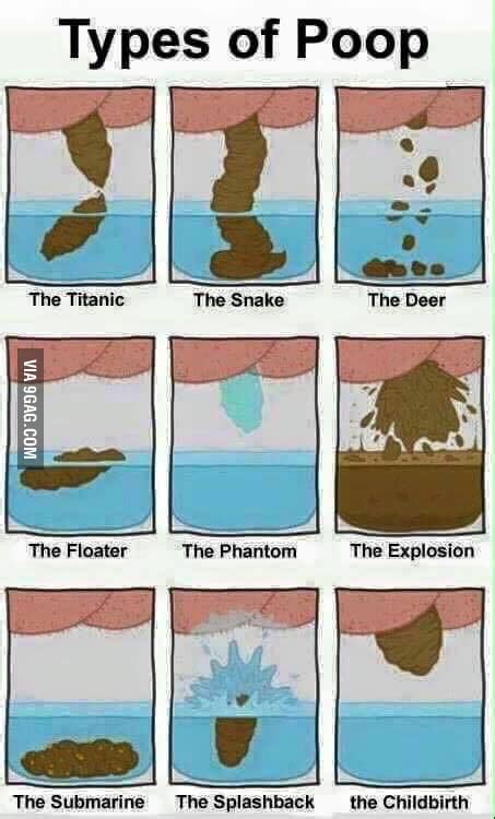 Different types of poop - 9GAG