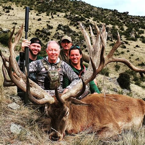 New Zealand Red Stag: Epic Hunts - Guaranteed Opportunities