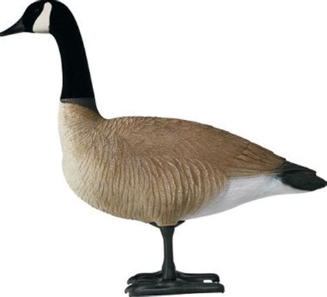 Real-Geese Pro Series Canada Goose Decoys - Silhouette Goose Decoys ...