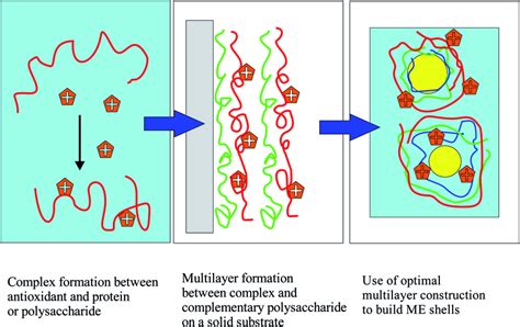 Use of colloid science principles for the systematic design of MEs with ...