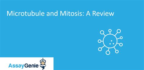 Microtubule and Mitosis review - Assay Genie