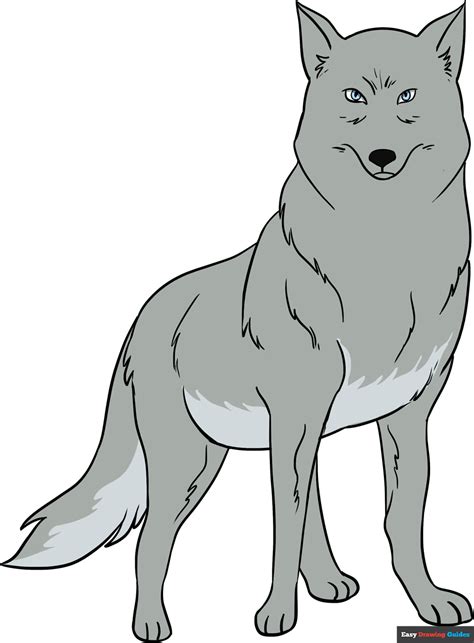 How to Draw a Wolf | Easy Step-by-Step Drawing Guides